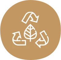 disposable plates near me