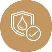 disposable plates near me