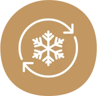 disposable plates near me