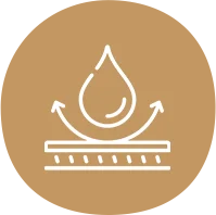 disposable plates near me